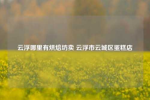 云浮哪里有烘焙坊卖 云浮市云城区蛋糕店