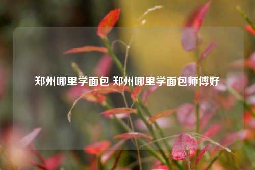 郑州哪里学面包 郑州哪里学面包师傅好